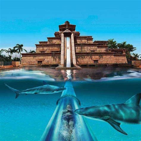 Atlantis Aquaventure.